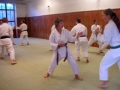 DSCN3056