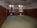 DSCI0161