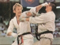 Länderkampf Japan_Kumite_1